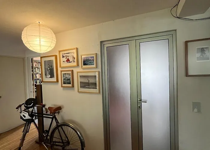 Habitacion-museo Anahuacalli Dr - Coyoacan Homestay *